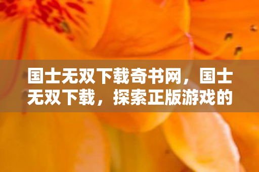 国士无双下载奇书网，国士无双下载，探索正版游戏的便捷之路