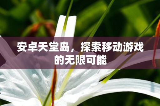 安卓天堂岛,探索移动游戏的无限可能 安卓天堂岛,探索移动游戏的无限可能