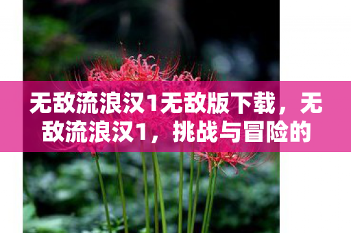 无敌流浪汉1无敌版下载,无敌流浪汉1,挑战与冒险的无限可能 无敌流浪汉1无敌版下载,无敌流浪汉1,挑战与冒险的无限可能