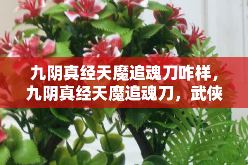 九阴真经天魔追魂刀咋样,九阴真经天魔追魂刀,武侠世界的绝世刀法 九阴真经天魔追魂刀咋样,九阴真经天魔追魂刀,武侠世界的绝世刀法
