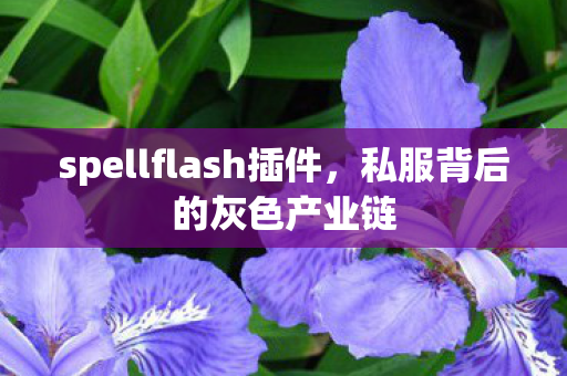 spellflash插件,私服背后的灰色产业链 spellflash插件,私服背后的灰色产业链