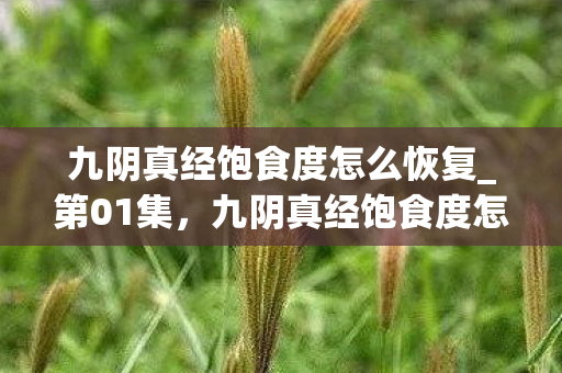 九阴真经饱食度怎么恢复_第01集,九阴真经饱食度怎么恢复 九阴真经饱食度怎么恢复_第01集,九阴真经饱食度怎么恢复