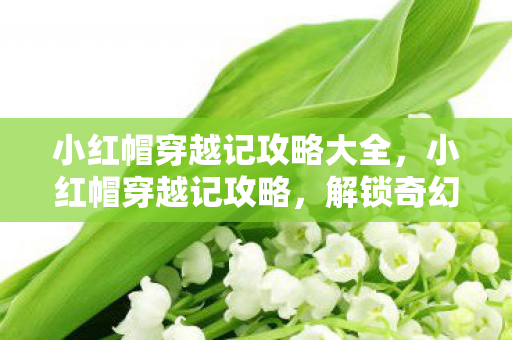 小红帽穿越记攻略大全,小红帽穿越记攻略,解锁奇幻旅程的秘钥 小红帽穿越记攻略大全,小红帽穿越记攻略,解锁奇幻旅程的秘钥