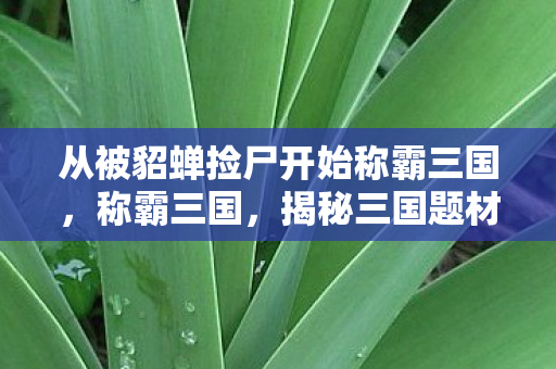 从被貂蝉捡尸开始称霸三国,称霸三国,揭秘三国题材游戏中的王者之路 从被貂蝉捡尸开始称霸三国,称霸三国,揭秘三国题材游戏中的王者之路