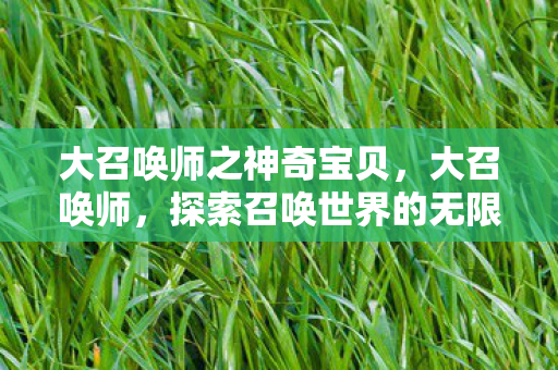 大召唤师之神奇宝贝,大召唤师,探索召唤世界的无限可能 大召唤师之神奇宝贝,大召唤师,探索召唤世界的无限可能