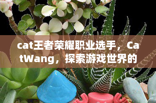cat王者荣耀职业选手,CatWang,探索游戏世界的无限可能 cat王者荣耀职业选手,CatWang,探索游戏世界的无限可能