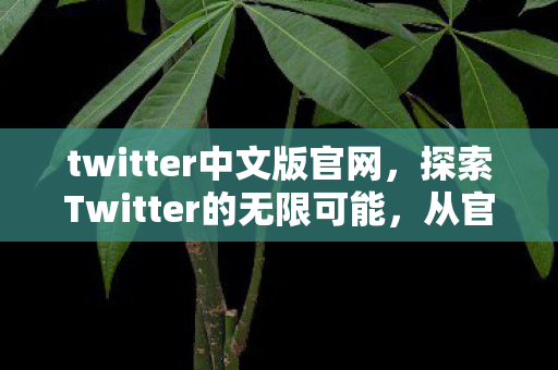 twitter中文版官网,探索Twitter的无限可能,从官方到私服的多元体验 twitter中文版官网,探索Twitter的无限可能,从官方到私服的多元体验