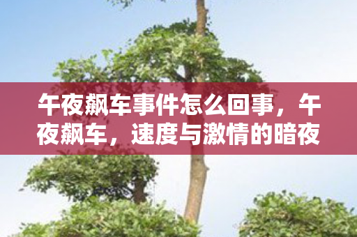 午夜飙车事件怎么回事,午夜飙车,速度与激情的暗夜交响曲 午夜飙车事件怎么回事,午夜飙车,速度与激情的暗夜交响曲