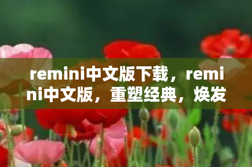 remini中文版下载,remini中文版,重塑经典,焕发新颜 remini中文版下载,remini中文版,重塑经典,焕发新颜