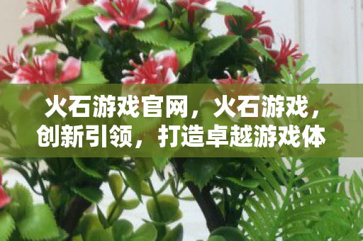 火石游戏官网,火石游戏,创新引领,打造卓越游戏体验 火石游戏官网,火石游戏,创新引领,打造卓越游戏体验
