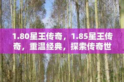 1.80星王传奇，1.85星王传奇，重温经典，探索传奇世界的无限可能