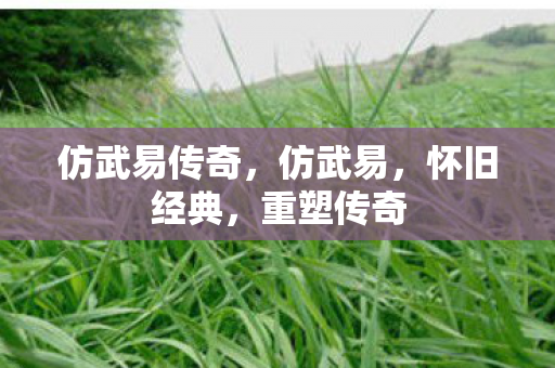 仿武易传奇,仿武易,怀旧经典,重塑传奇 仿武易传奇,仿武易,怀旧经典,重塑传奇