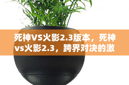 死神VS火影2.3版本,死神vs火影2.3,跨界对决的激情碰撞 死神VS火影2.3版本,死神vs火影2.3,跨界对决的激情碰撞