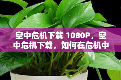 空中危机下载 1080P,空中危机下载,如何在危机中保障数据安全 空中危机下载 1080P,空中危机下载,如何在危机中保障数据安全