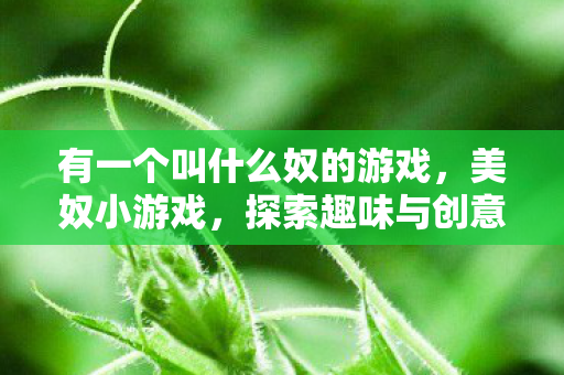有一个叫什么奴的游戏,美奴小游戏,探索趣味与创意的无限可能 有一个叫什么奴的游戏,美奴小游戏,探索趣味与创意的无限可能