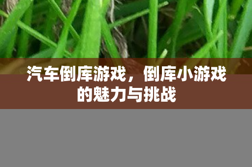 汽车倒库游戏,倒库小游戏的魅力与挑战 汽车倒库游戏,倒库小游戏的魅力与挑战