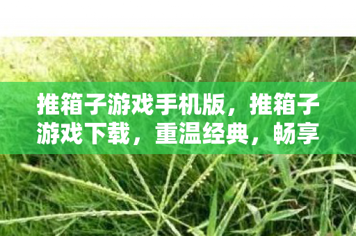 推箱子游戏手机版,推箱子游戏下载,重温经典,畅享无限乐趣 推箱子游戏手机版,推箱子游戏下载,重温经典,畅享无限乐趣