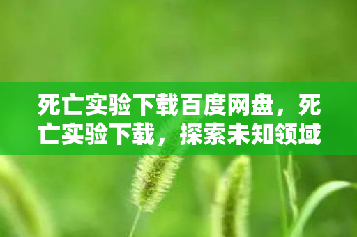 死亡实验下载百度网盘,死亡实验下载,探索未知领域的勇气与智慧 死亡实验下载百度网盘,死亡实验下载,探索未知领域的勇气与智慧