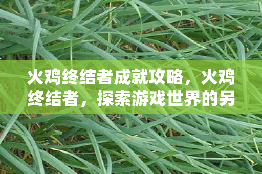 火鸡终结者成就攻略,火鸡终结者,探索游戏世界的另类选择 火鸡终结者成就攻略,火鸡终结者,探索游戏世界的另类选择