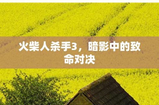 火柴人杀手3,暗影中的致命对决 火柴人杀手3,暗影中的致命对决