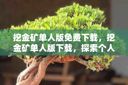 挖金矿单人版免费下载,挖金矿单人版下载,探索个人挖矿之旅的绝佳选择 挖金矿单人版免费下载,挖金矿单人版下载,探索个人挖矿之旅的绝佳选择