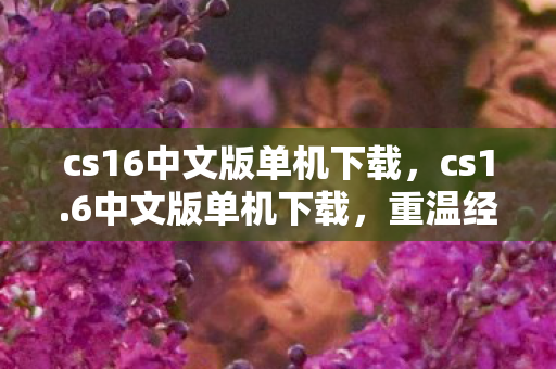 cs16中文版单机下载,cs1.6中文版单机下载,重温经典,无需联网的枪战乐趣 cs16中文版单机下载,cs1.6中文版单机下载,重温经典,无需联网的枪战乐趣
