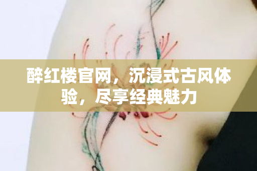醉红楼官网,沉浸式古风体验,尽享经典魅力 醉红楼官网,沉浸式古风体验,尽享经典魅力
