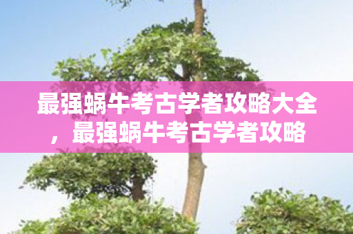 最强蜗牛考古学者攻略大全，最强蜗牛考古学者攻略
