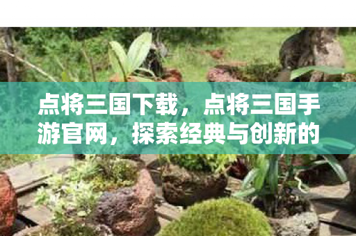 点将三国下载,点将三国手游官网,探索经典与创新的完美融合 点将三国下载,点将三国手游官网,探索经典与创新的完美融合