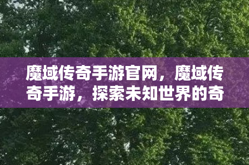 魔域传奇手游官网,魔域传奇手游,探索未知世界的奇幻之旅 魔域传奇手游官网,魔域传奇手游,探索未知世界的奇幻之旅