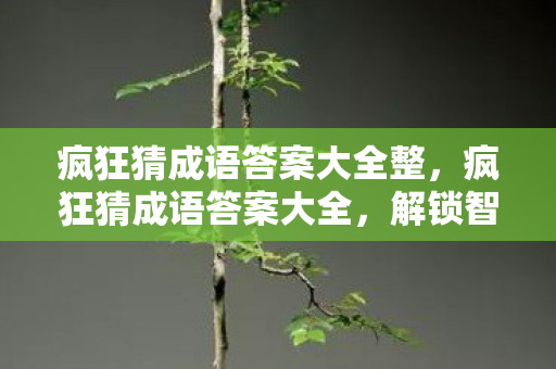 疯狂猜成语答案大全整,疯狂猜成语答案大全,解锁智慧,尽享成语魅力 疯狂猜成语答案大全整,疯狂猜成语答案大全,解锁智慧,尽享成语魅力