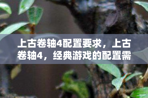 上古卷轴4配置要求,上古卷轴4,经典游戏的配置需求与体验优化 上古卷轴4配置要求,上古卷轴4,经典游戏的配置需求与体验优化