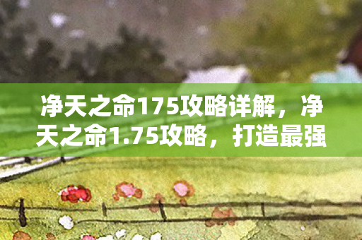 净天之命175攻略详解，净天之命1.75攻略，打造最强角色的全面指南