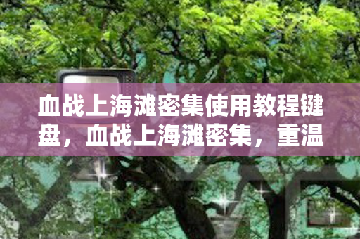 血战上海滩密集使用教程键盘，血战上海滩密集，重温经典，探索游戏背后的故事