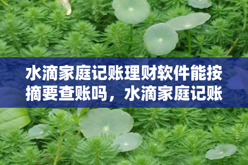 水滴家庭记账理财软件能按摘要查账吗,水滴家庭记账理财软件,打造智慧家庭财务新生态 水滴家庭记账理财软件能按摘要查账吗,水滴家庭记账理财软件,打造智慧家庭财务新生态