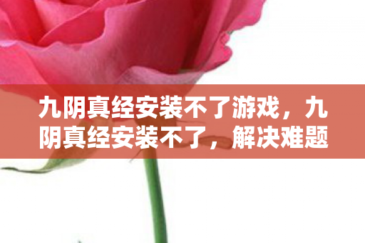 九阴真经安装不了游戏,九阴真经安装不了,解决难题,畅享经典武侠世界 九阴真经安装不了游戏,九阴真经安装不了,解决难题,畅享经典武侠世界