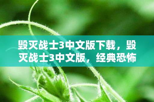 毁灭战士3中文版下载，毁灭战士3中文版，经典恐怖射击游戏的中文魅力