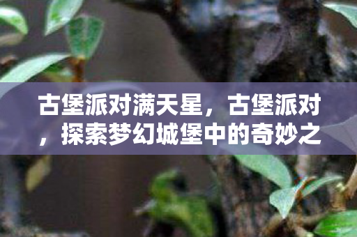 古堡派对满天星，古堡派对，探索梦幻城堡中的奇妙之夜