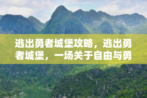 逃出勇者城堡攻略，逃出勇者城堡，一场关于自由与勇气的传奇之旅