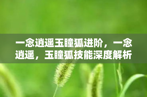 一念逍遥玉瞳狐进阶，一念逍遥，玉瞳狐技能深度解析