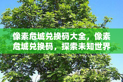 像素危城兑换码大全,像素危城兑换码,探索未知世界的神秘钥匙 像素危城兑换码大全,像素危城兑换码,探索未知世界的神秘钥匙
