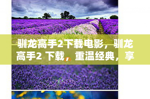 驯龙高手2下载电影,驯龙高手2 下载,重温经典,享受高清观影体验 驯龙高手2下载电影,驯龙高手2 下载,重温经典,享受高清观影体验