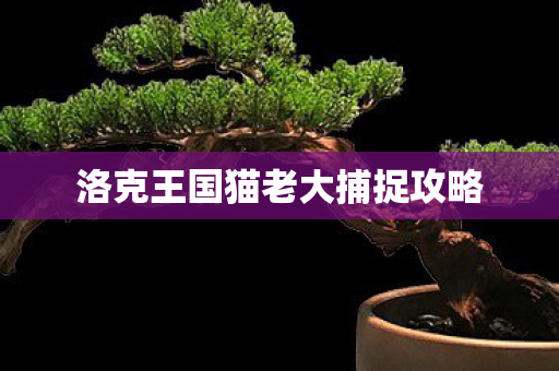 洛克王国猫老大捕捉攻略 洛克王国猫老大捕捉攻略