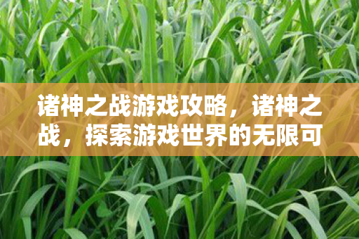 诸神之战游戏攻略,诸神之战,探索游戏世界的无限可能 诸神之战游戏攻略,诸神之战,探索游戏世界的无限可能