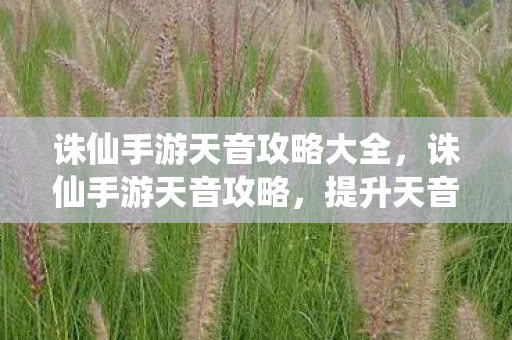 诛仙手游天音攻略大全，诛仙手游天音攻略，提升天音职业战斗力的全面指南