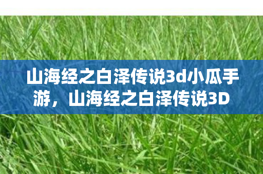 山海经之白泽传说3d小瓜手游,山海经之白泽传说3D,探寻古老神话的现代演绎 山海经之白泽传说3d小瓜手游,山海经之白泽传说3D,探寻古老神话的现代演绎