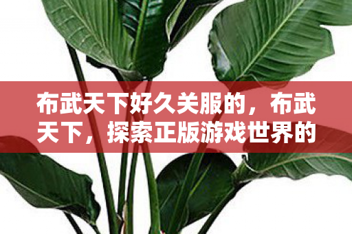 布武天下好久关服的，布武天下，探索正版游戏世界的魅力