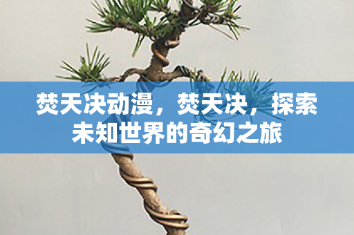 焚天决动漫,焚天决,探索未知世界的奇幻之旅 焚天决动漫,焚天决,探索未知世界的奇幻之旅