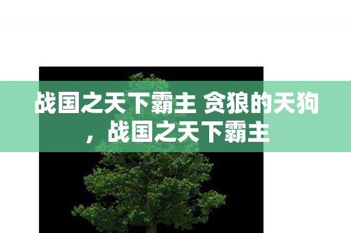 战国之天下霸主 贪狼的天狗,战国之天下霸主 战国之天下霸主 贪狼的天狗,战国之天下霸主
