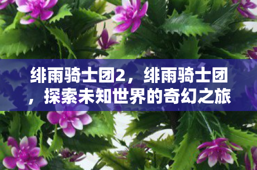 绯雨骑士团2,绯雨骑士团,探索未知世界的奇幻之旅 绯雨骑士团2,绯雨骑士团,探索未知世界的奇幻之旅